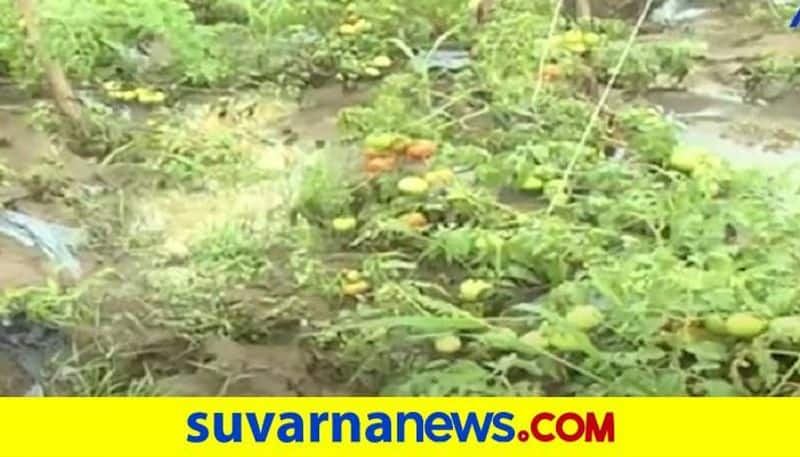 Farmers in Distress due to Heavy Rain in Bidar grg