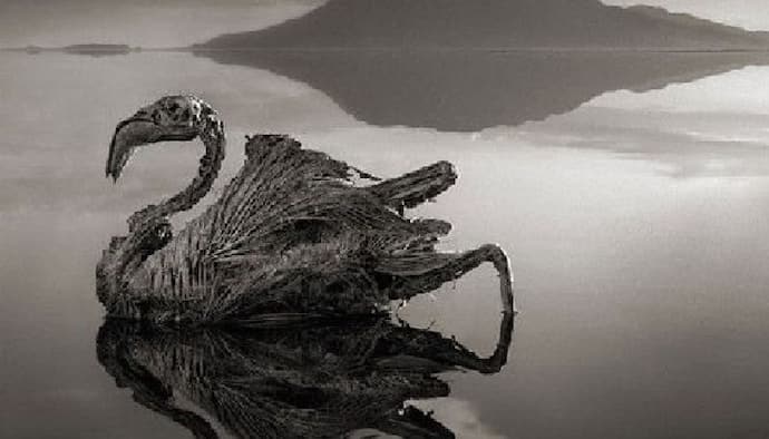 Lake natron 8