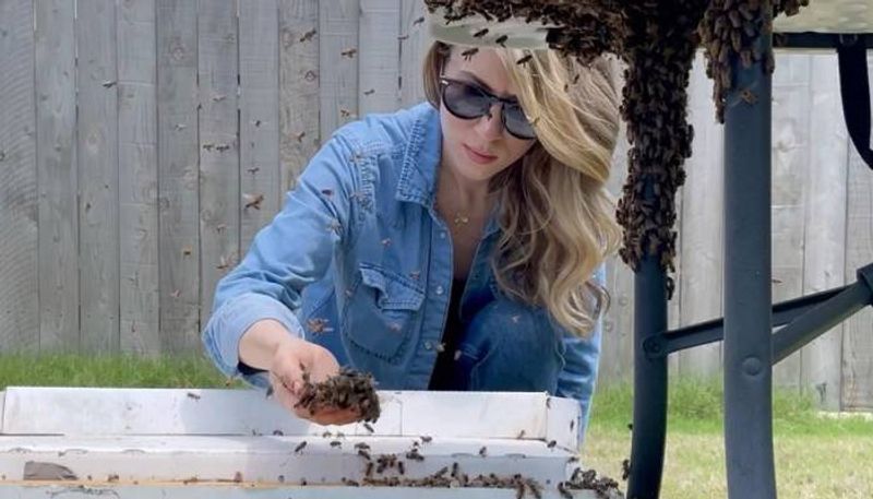 woman relocating bees with barehand viral video