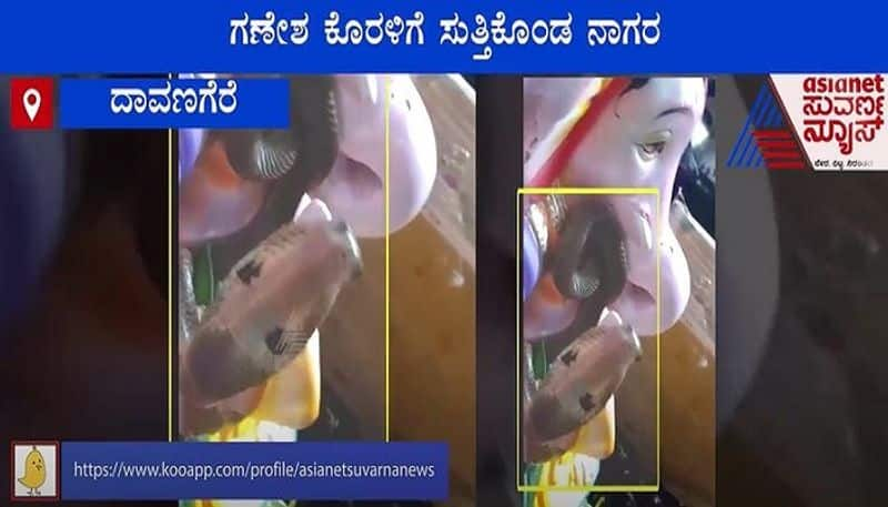 Cobra Wraps Itself Around Ganesha Statue in Davanagere mah