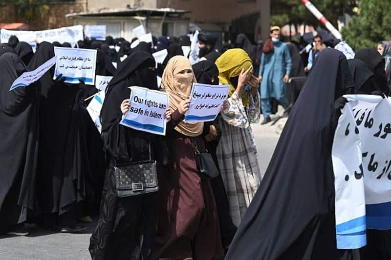 Afghan women demand political, social inclusion in Taliban government during protest in Kabul-dnm