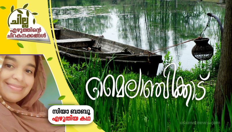 chilla malayalam short story by ziya babu