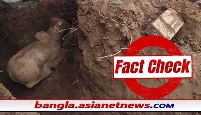 Fact Check:  সত্যি কি এই নন্দী মূর্তিটি পাওয়া গেছে মসজিদের নিচে, সোশ্যাল মিডিয়ায় ভাইরাল শিবের বাহনের ছবি