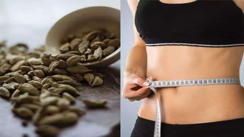 is cardamom water good for weight loss