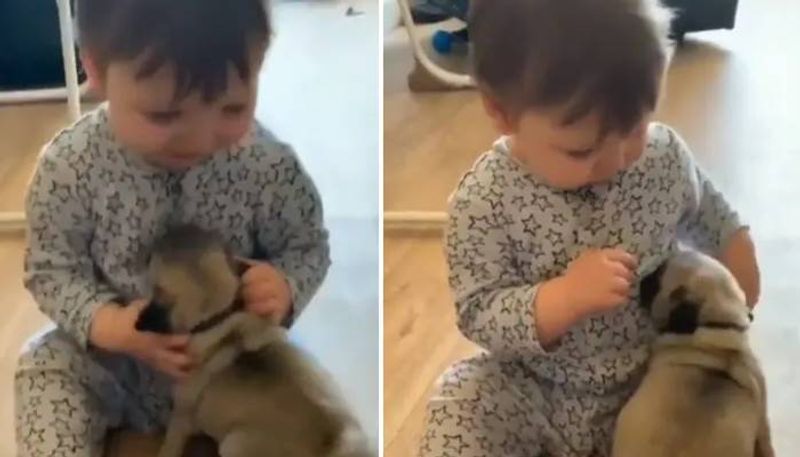 baby playing with puppy video