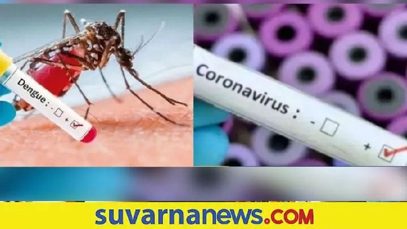 covid Decline  dengue Cases raises in Udupi District snr