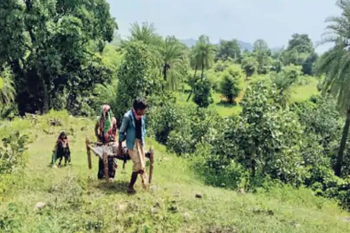 ऐसा क्या हुआ कि 750 रुपए के लिए बुजुर्ग को 3 किमी चारपाई पर ले गए परिजन, डाकिया भी था साथ