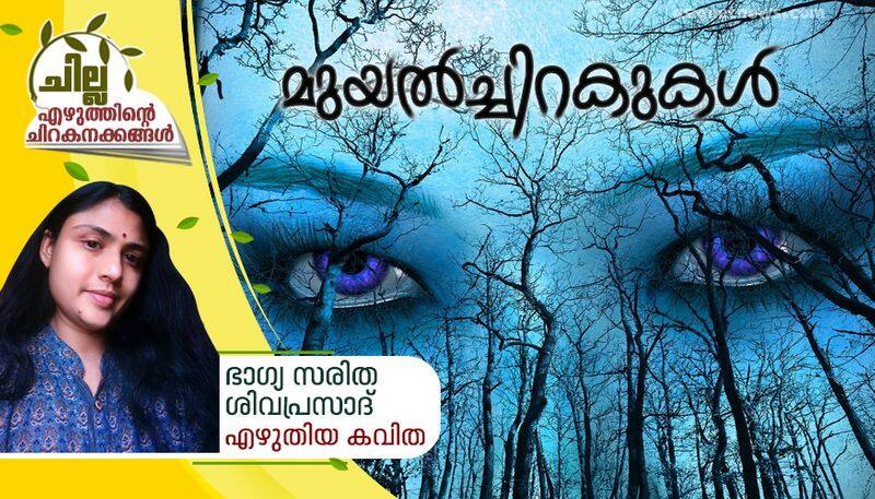 chilla malayalam poem by bhagya saritha sivaprasad