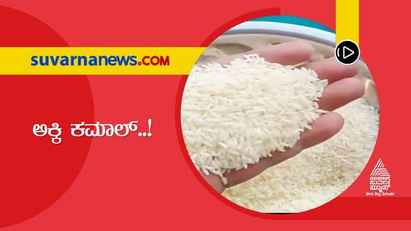 Cheating in Sona Masoori Rice in Mill at Raichur grg