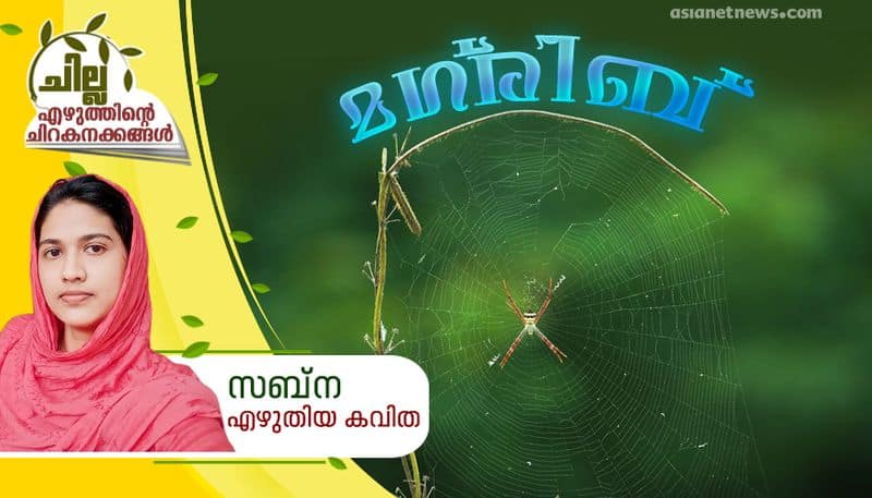 chilla malayalam poem by Sabna