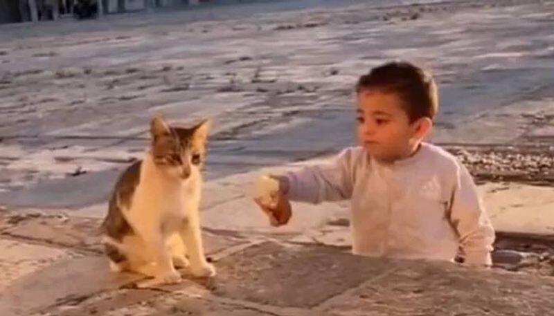 kid share his food with cat viral video