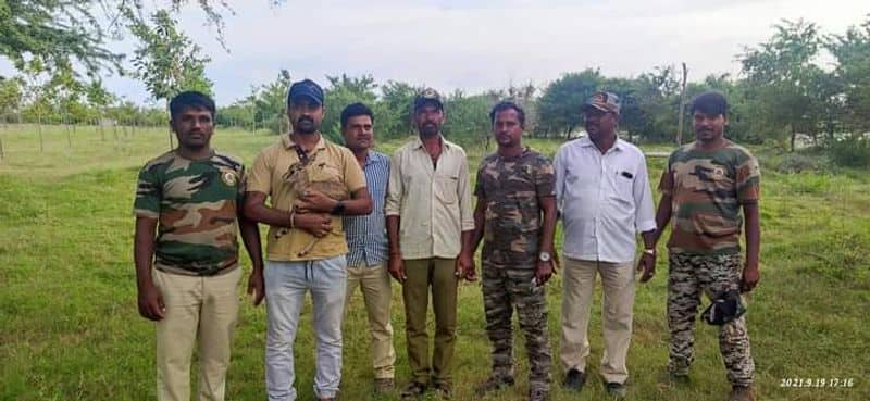 Protection of the Blackbuck Cub at Hagaribommanahalli in Vijayanagara grg