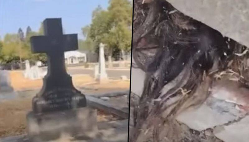 Human hair emerges out of  100-year-old grave; watch video - gps