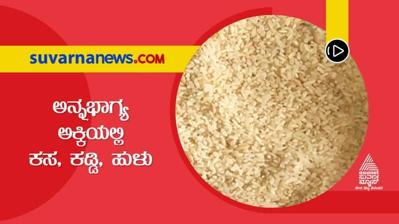 Rice of Anna Bhagya yojana got spoiled as it was stored irregularly by officers hls