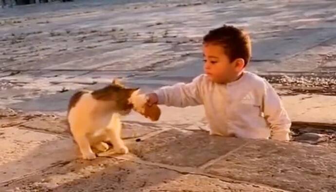 Little boy sharing food with a cat wins the hearts of netizens; watch the video
