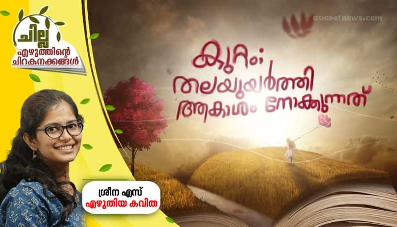 chilla malayalam poem by sreena s