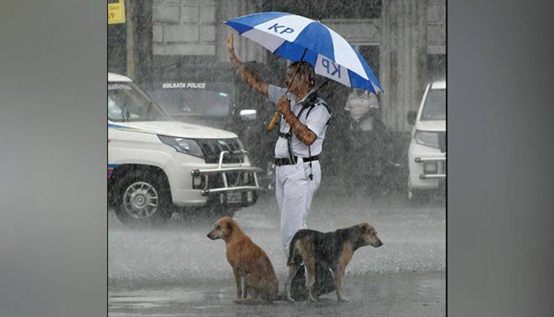 Cop gives shelter to dogs under his umbrella amid heavy rain; heartwarming picture goes viral - gps