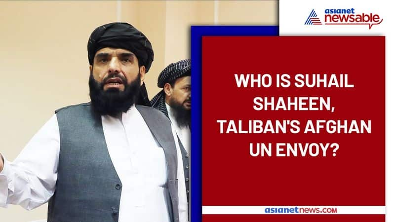 Who Is Suhail Shaheen Taliban Afghan UN Envoy