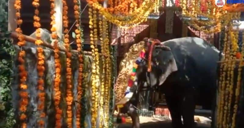 elephant turns violent at thiruvilwamala temple