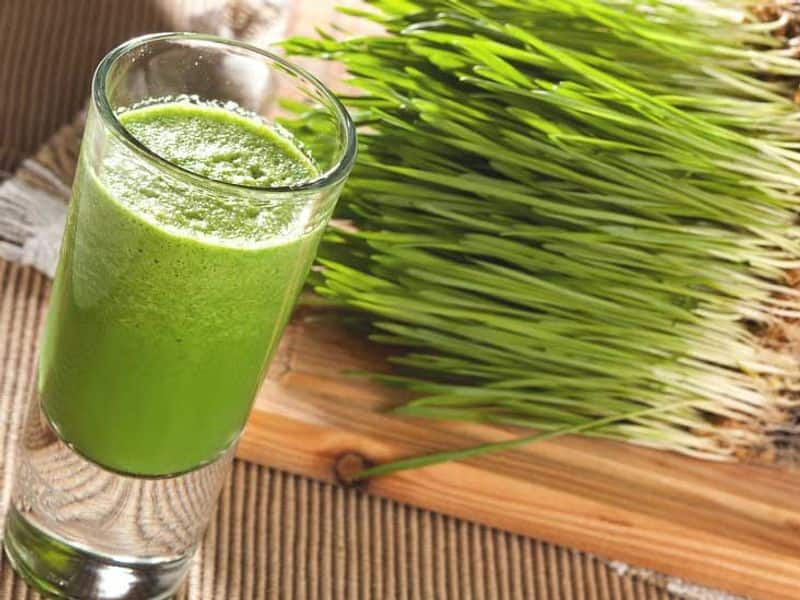 Reasons Why You Must Drink Wheatgrass Daily