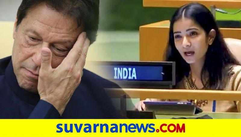 Indias gives strong reply to Pakistan PM Imran Khans false & malicious propaganda at UNGA dpl