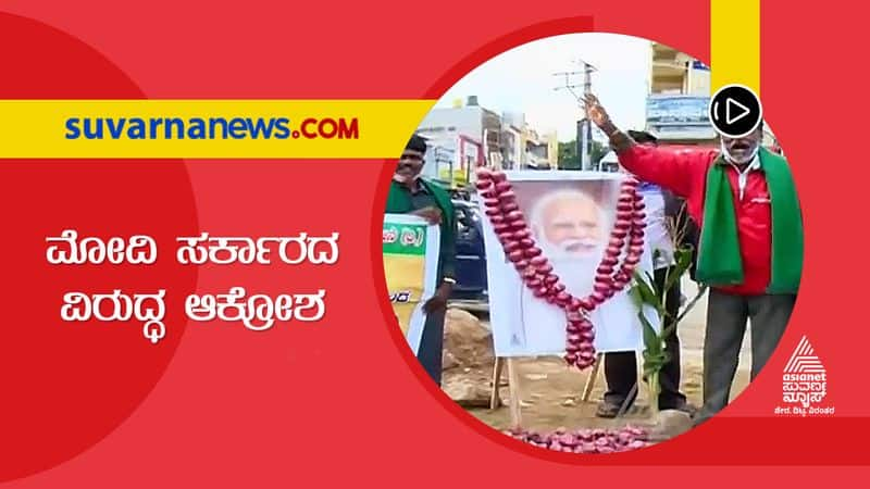 Onion Mala Put on Narendra Modi's Photo in Farmers Protest at Chitradurga grg