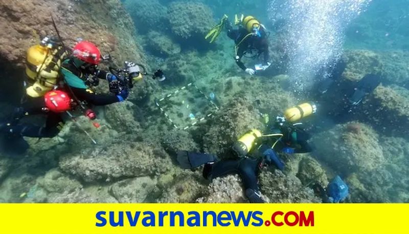 Spain Roman gold coins found by amateur divers clearing trash pod