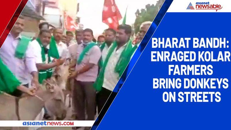 Bharat Bandh: Kolar farmers bring donkeys on streets, compare with PM in anger-ycb