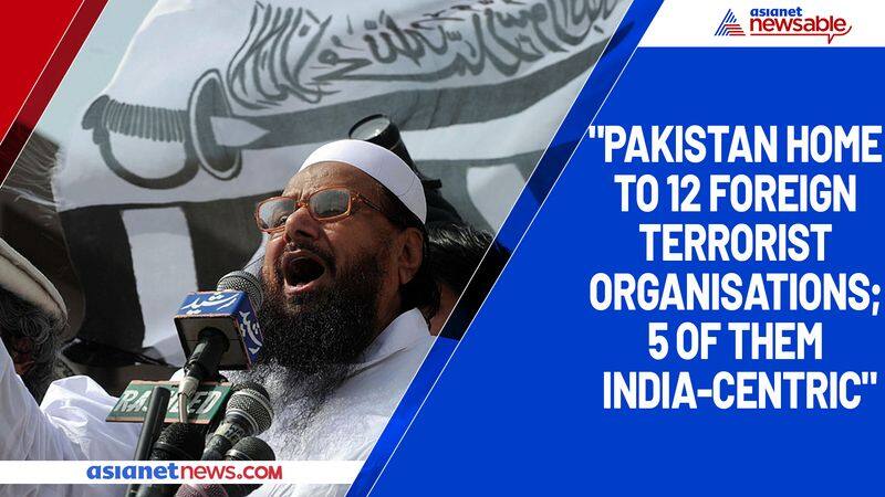 Pakistan home to '12 foreign terrorist organisations': US Report-dnm