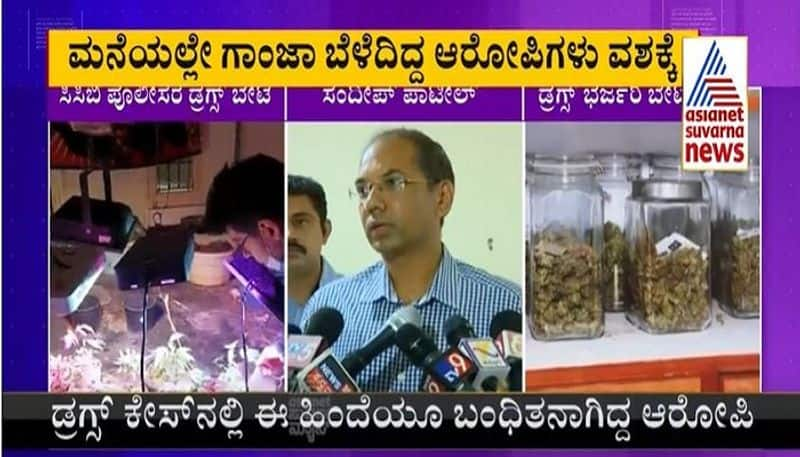 Four including two foreign citizens arrested by CCB Police for growing ganja mah