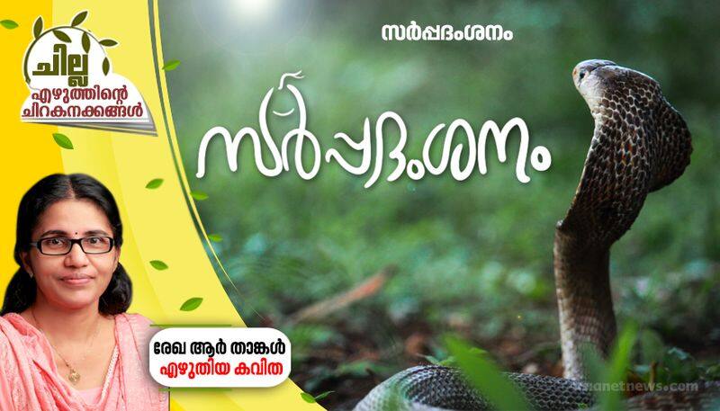 chilla malayalam poem by rekha r thangal