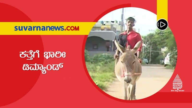 Video Name  Demand For Donkey Milk in Chikkamagalur snr