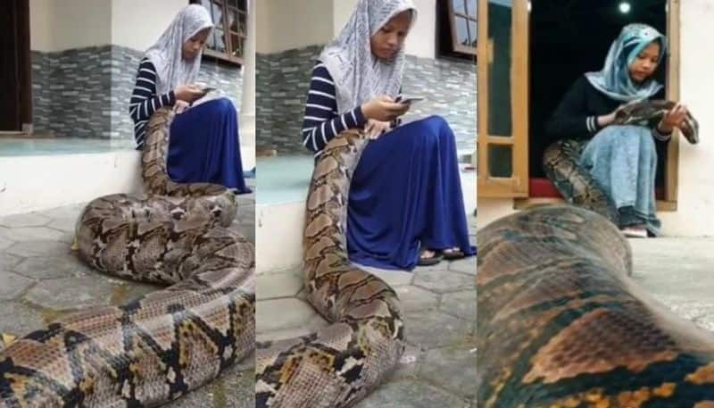 20 foot snake sleeps in the lap of a 15 year old girl