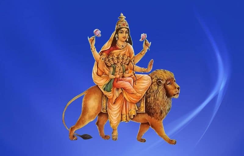 Chaitra Navratri 2024: Shailaputri to Siddhidatri-know about 9 avatars of Maa Durga RBA