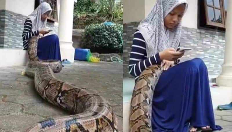 python sleeping in girls lap