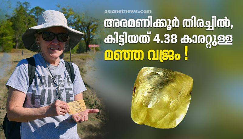 11 lakh yellow diamond found in half an hour search from Crater of Diamonds State Park