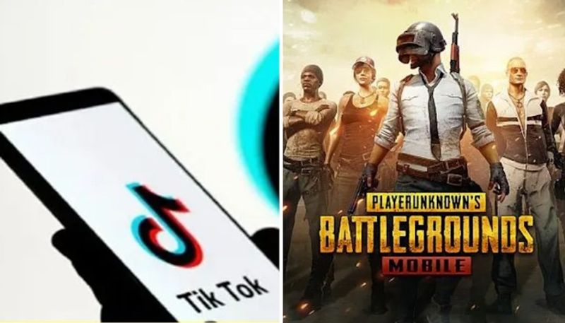 TikTok PUBG Mobile becomes most downloaded, top-earning apps report gcw