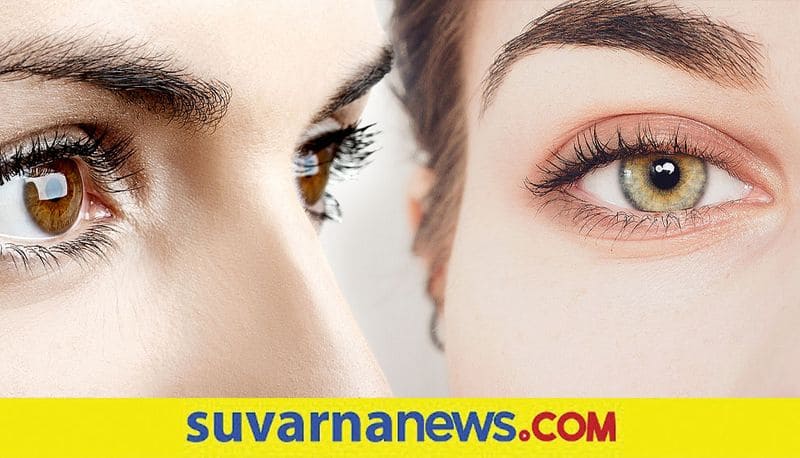 Diet for Thick And Strong Eye Lashes