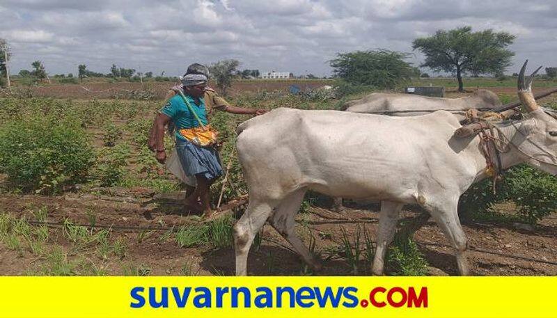 Again Deprivation of Fertilizer in Gadag District grg