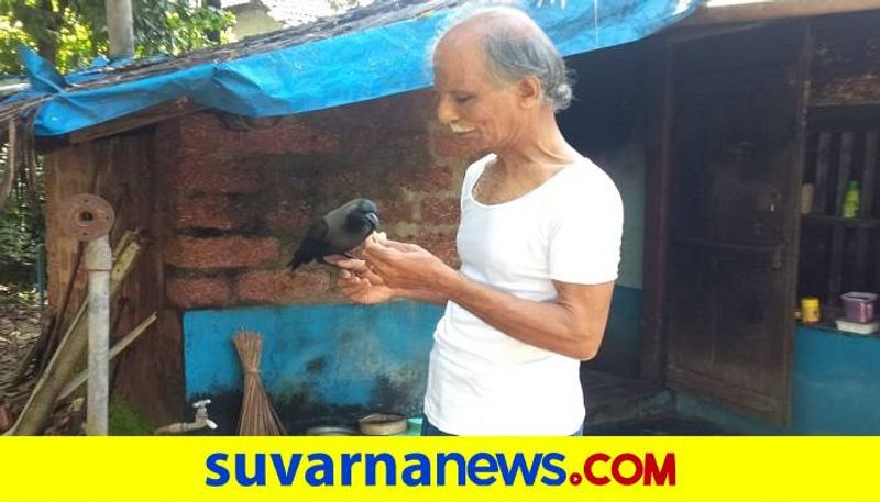 Crow closely Friendship With Human at Ankola in Uttara Kannada grg