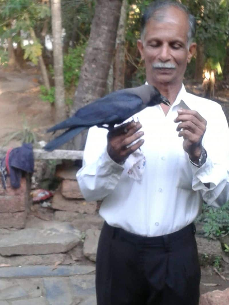 Crow closely Friendship With Human at Ankola in Uttara Kannada grg