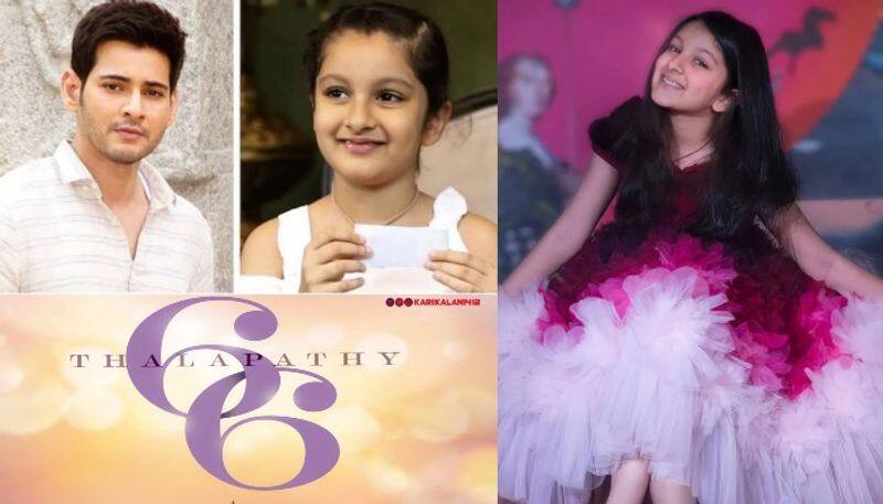 maheshbabu daughter sitara to be enter into big screen with vijay movie ?