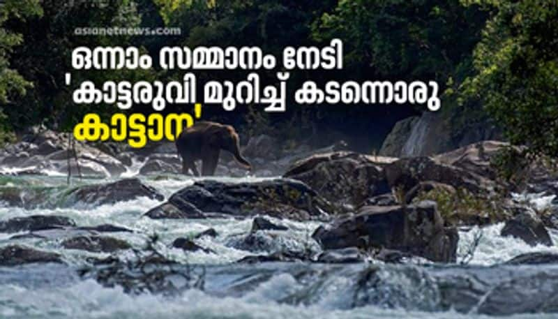 Kerala Forest Department Wildlife Photography Competition First prize wildElephant crossing the river by Vignesh B Sivan