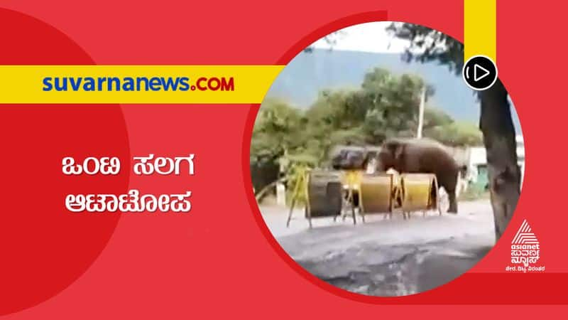 Chamarajnagar  Rare Visuals of Elephants Caught in Camera snr