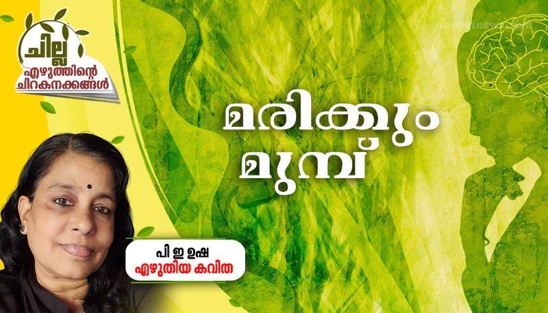 chilla malayalam poem by P E Usha