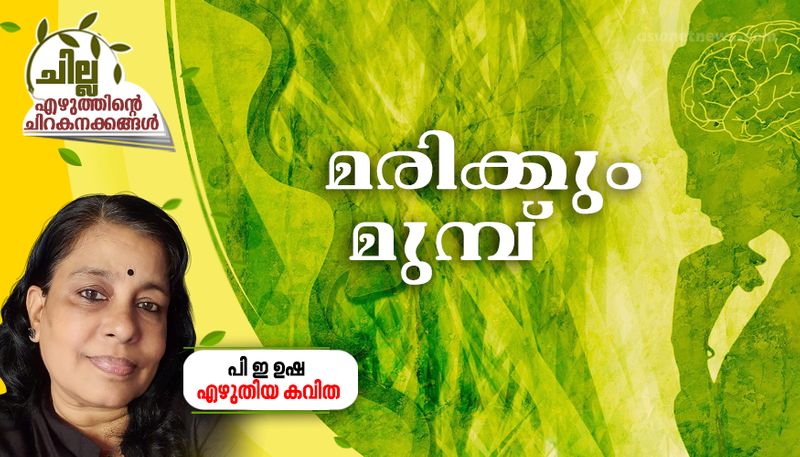 chilla malayalam poem by P E Usha