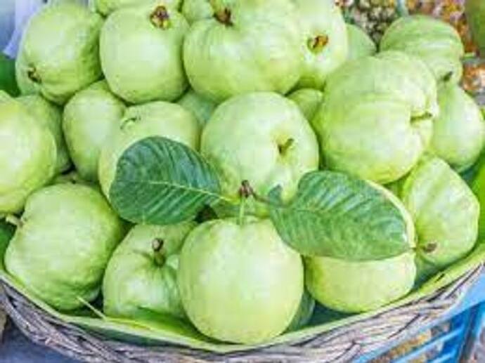 guava