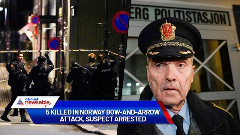 Five dead, two injured in bow and arrow attack in Norway, suspect arrested-dnm