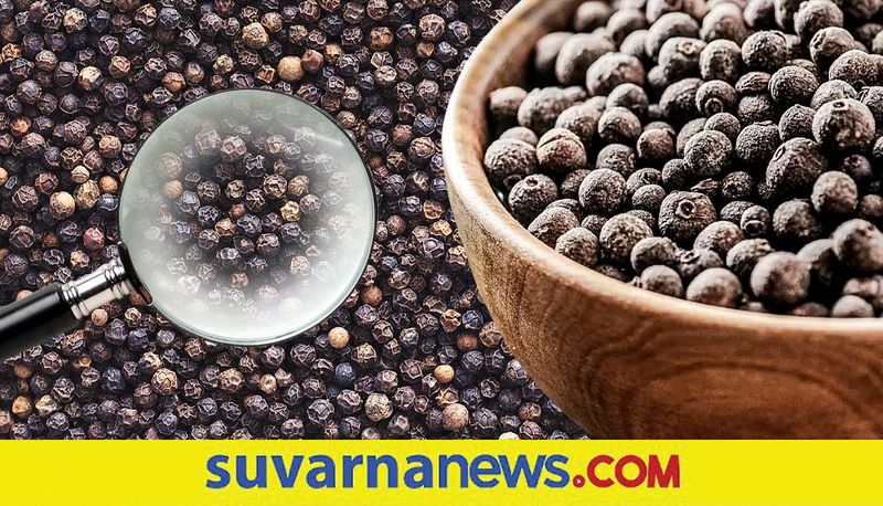 Pepper Price Reaches 50 thousand per quintal after 6 years in karnataka snr