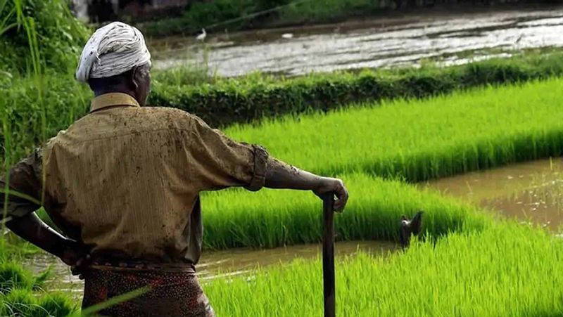 False information from  Officers on Crop damages in Chikkaballapur snr